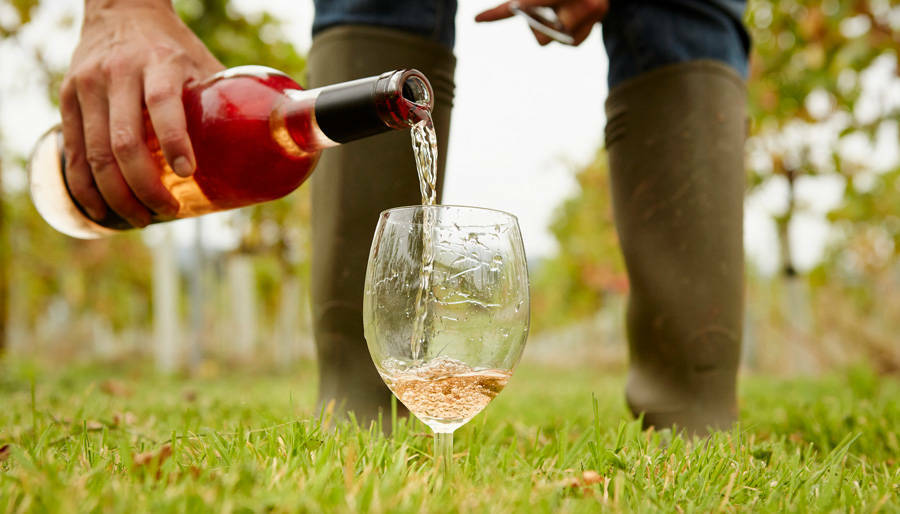 Ферментированные напитки